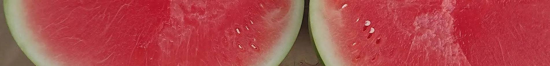 watermelon crop